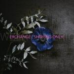 ITEM EXCHANGE - SHIPPING ONLY!